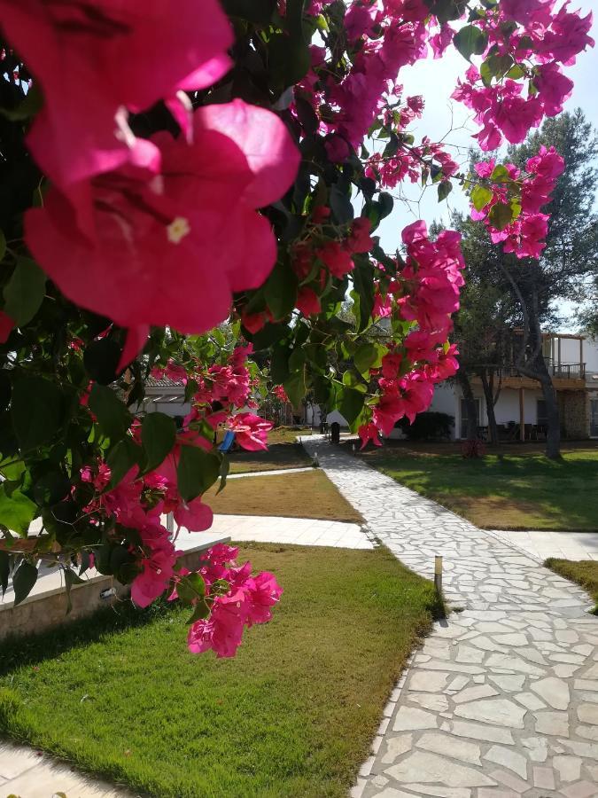 Marzi Beach And Bungalows Hotel Kokkónion Exterior foto